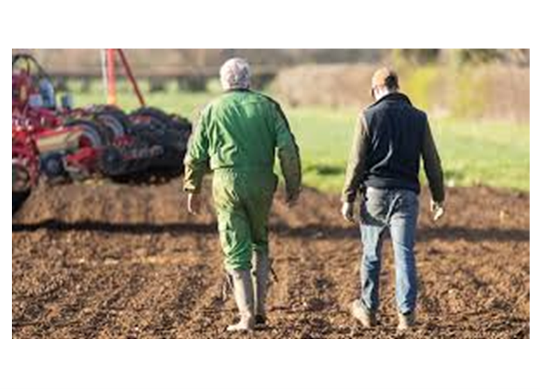 Farming Resilience Fund: free business advice for your farm